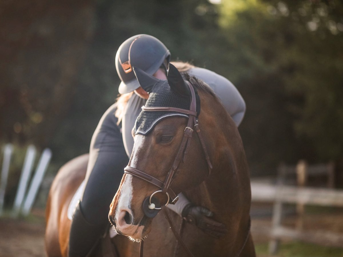 Amateur-Owned Small Business&nbsp;Round-Up